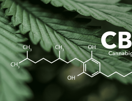 Title: Unveiling the Scientific Findings of CBG: The Mother Cannabinoid